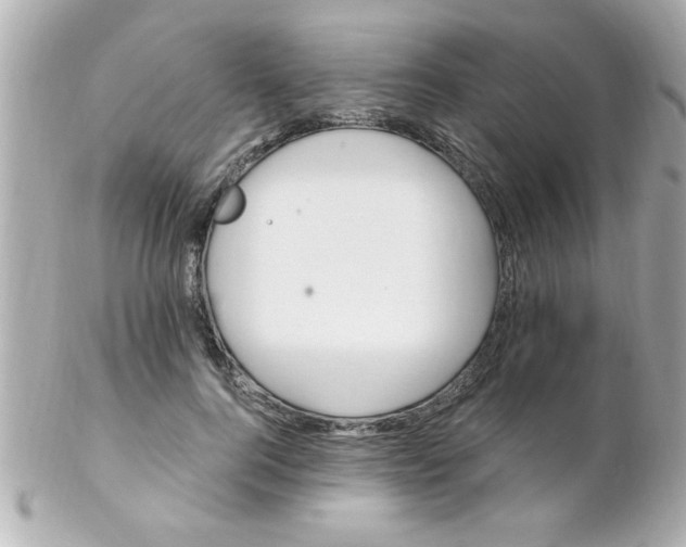 X0000102310744200808152041