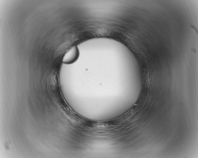 X0000102310746200808152041