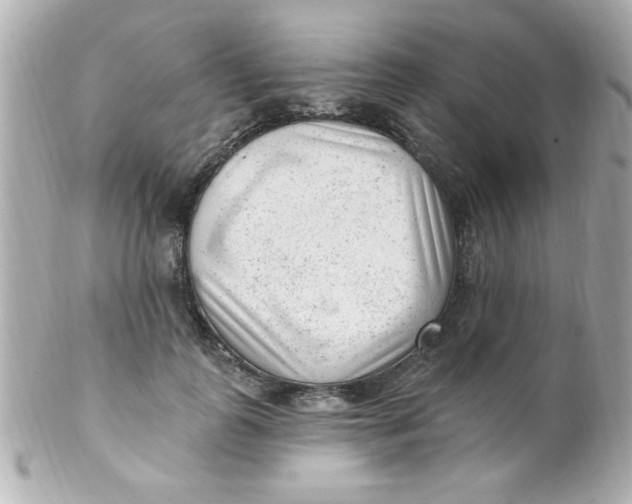 X0000102310747200808152041