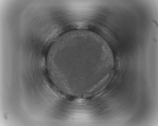 X0000102310748200808152041