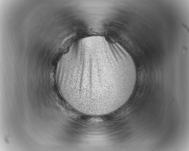 X0000102310749200808152041