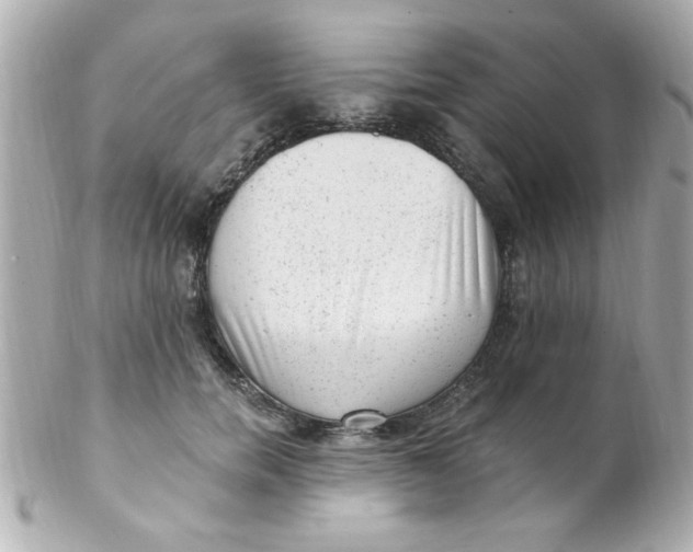 X0000102310750200808152041