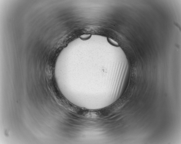 X0000102310751200808152041