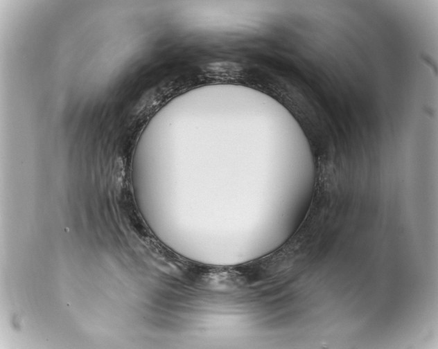 X0000102310752200808152041