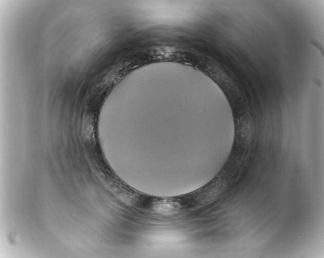 X0000102310754200808152041