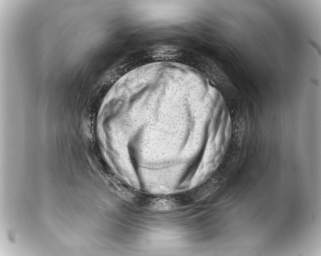 X0000102310755200808152041