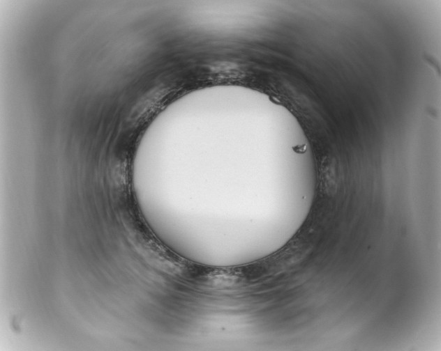 X0000102310756200808152041