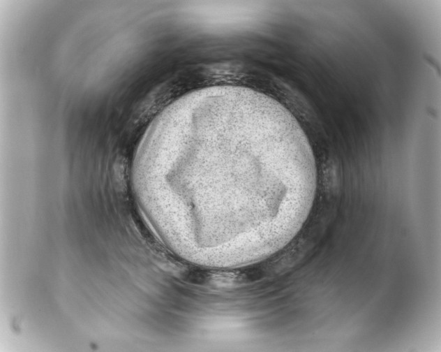 X0000102310757200808152041
