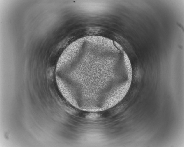 X0000102310759200808152041
