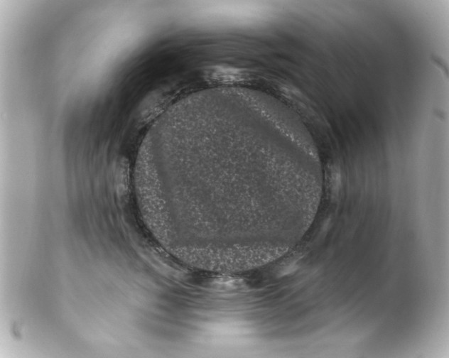 X0000102310760200808152041