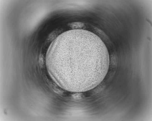 X0000102310761200808152041