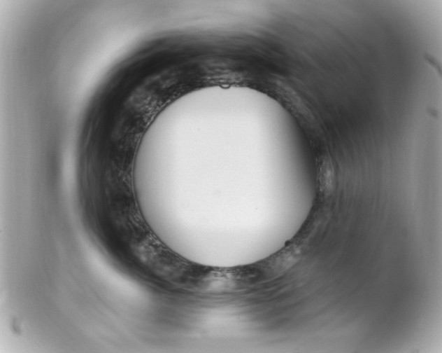 X0000102310764200808152041