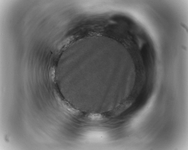 X0000102310767200808152041