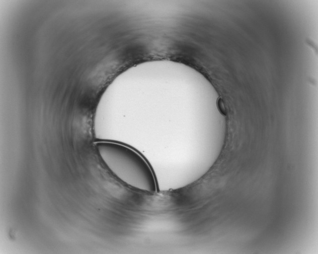X0000102310768200808152041