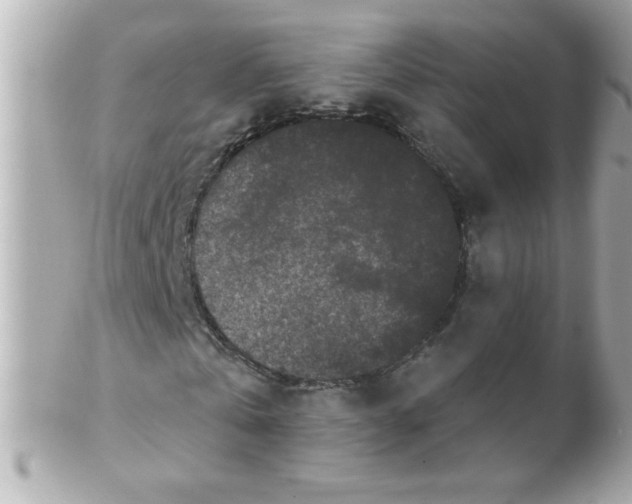 X0000102310769200808152040