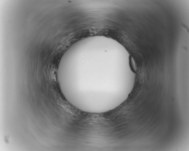 X0000102310770200808152040
