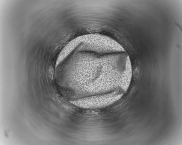 X0000102310772200808152040