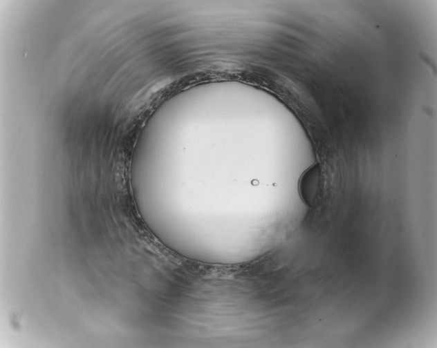 X0000102310773200808152040