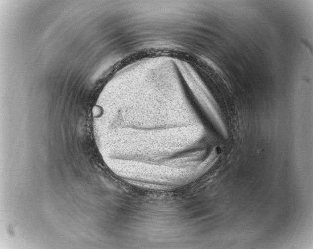 X0000102310775200808152040