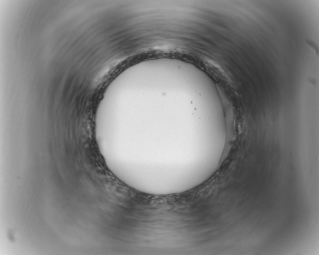X0000102310776200808152040
