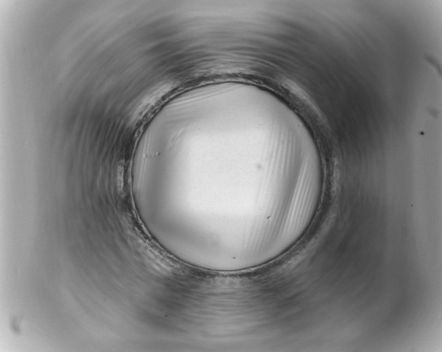 X0000102310777200808152040