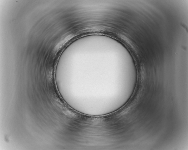 X0000102310778200808152040