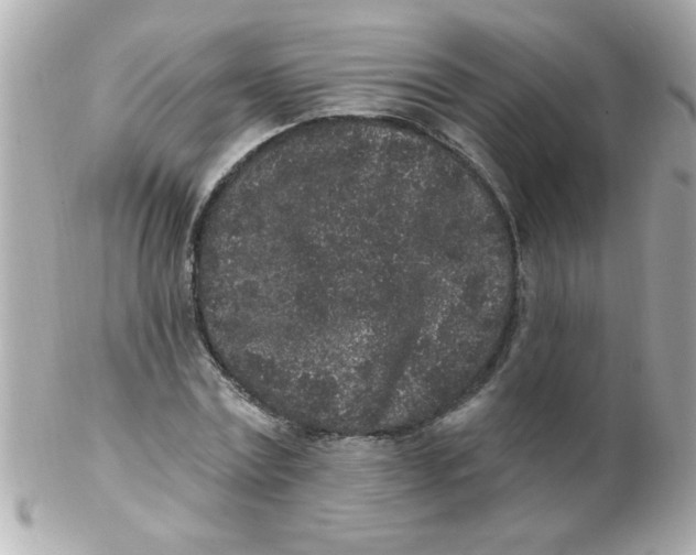 X0000102310779200808152040