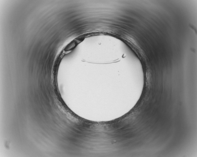 X0000102310780200808152040