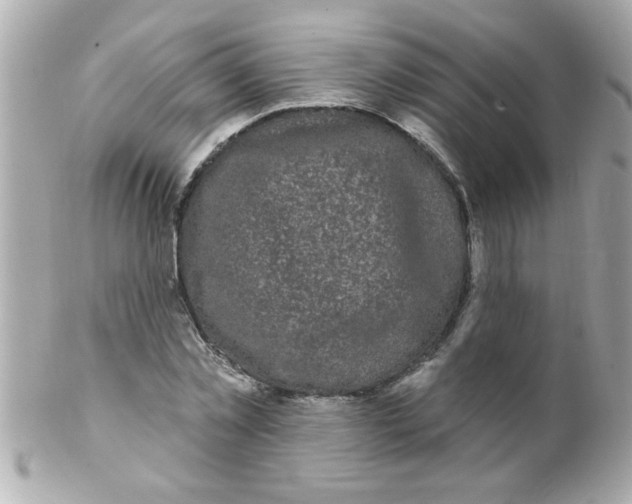 X0000102310781200808152040