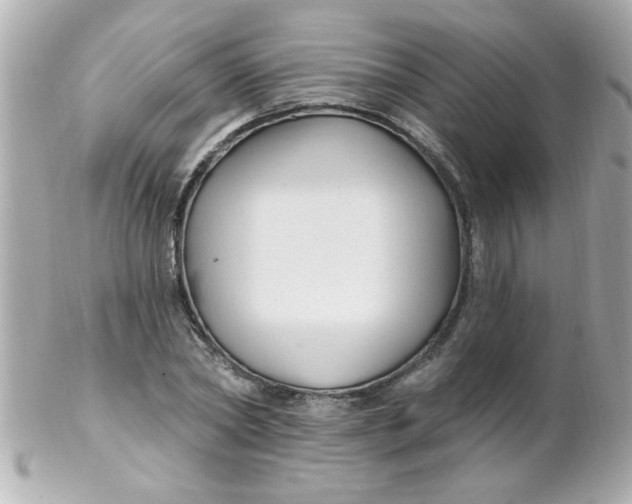 X0000102310782200808152040