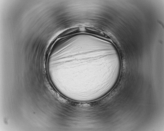 X0000102310784200808152040
