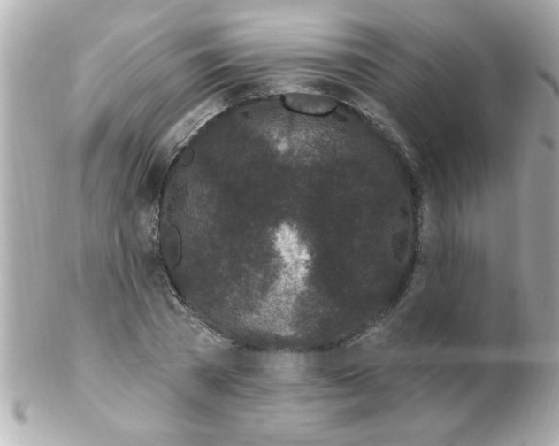 X0000102310785200808152040