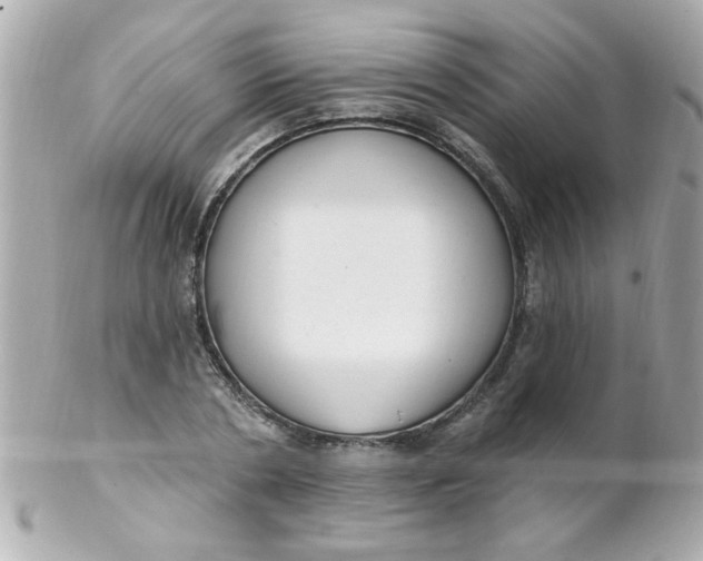 X0000102310786200808152040