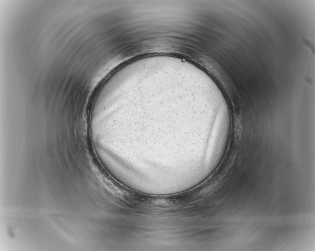 X0000102310787200808152040