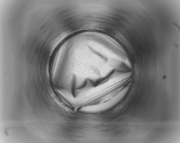 X0000102310788200808152040