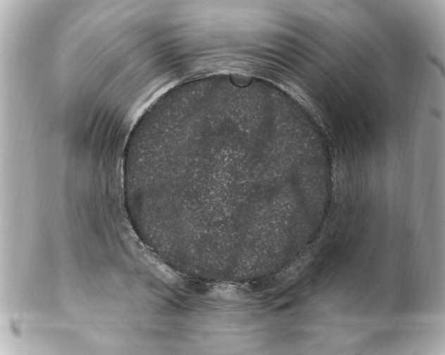 X0000102310790200808152040