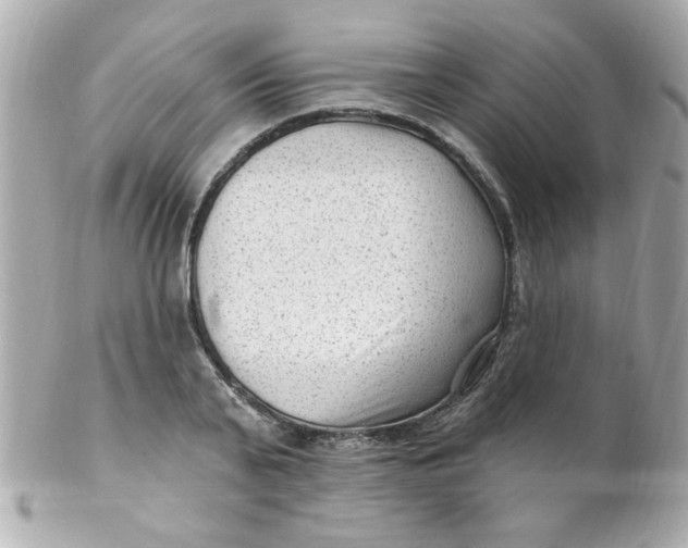 X0000102310791200808152040