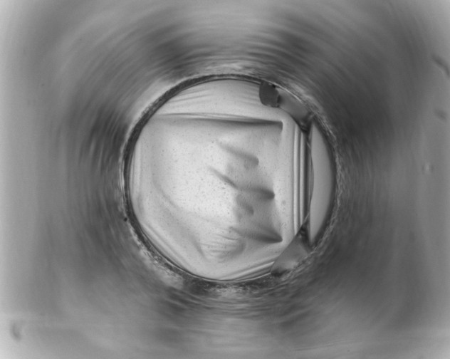 X0000102310792200808152040