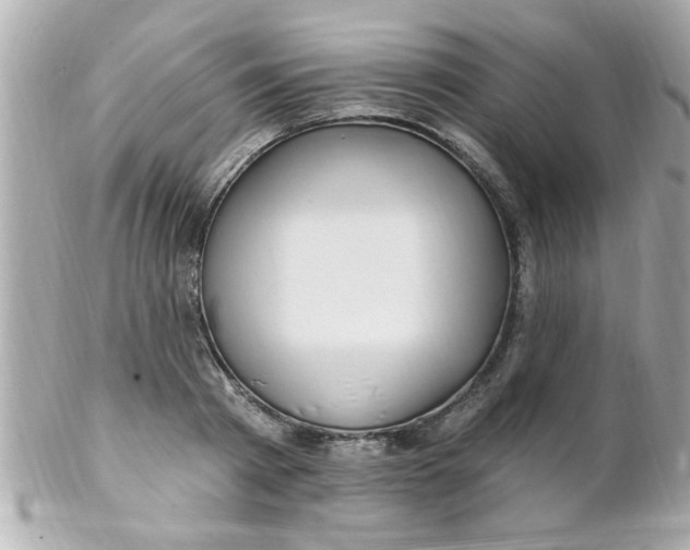 X0000102310793200808152040