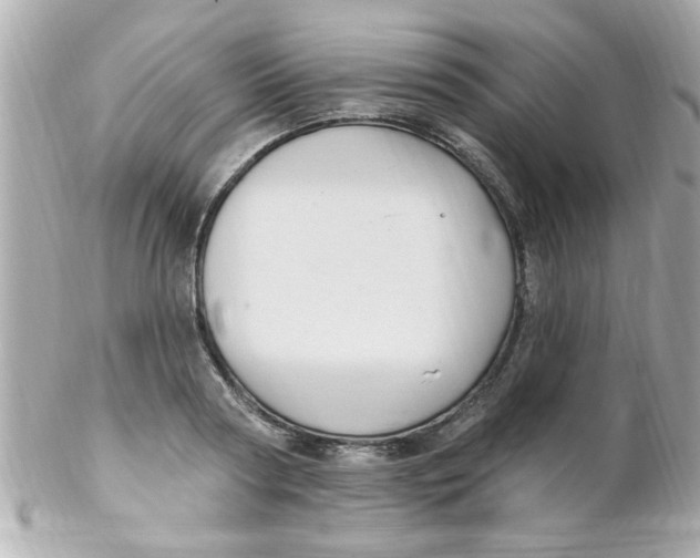X0000102310794200808152040
