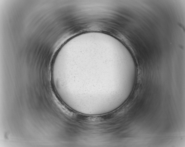 X0000102310795200808152040