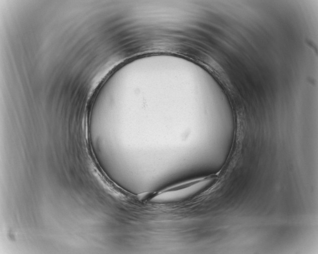 X0000102310796200808152040