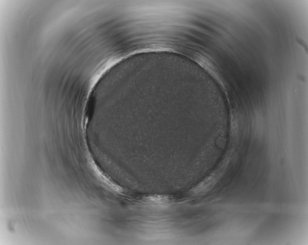 X0000102310797200808152040