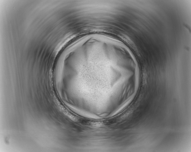 X0000102310798200808152040