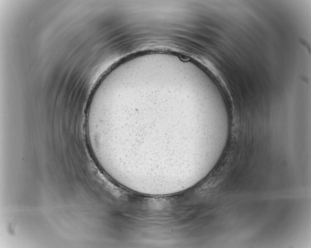 X0000102310799200808152040