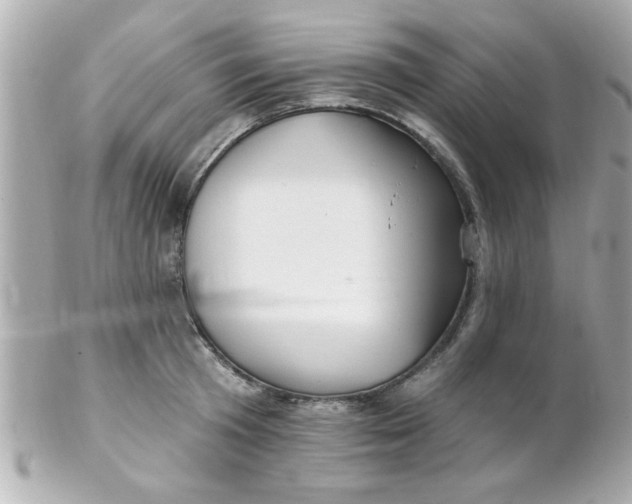 X0000102310801200808152040