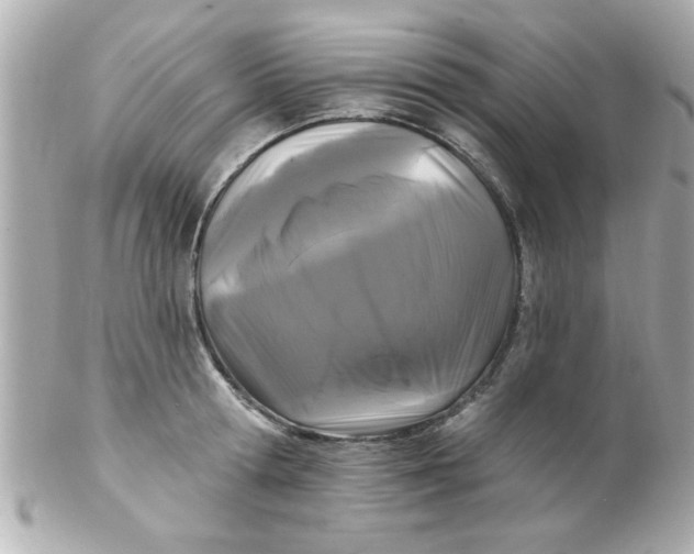X0000102310802200808152040