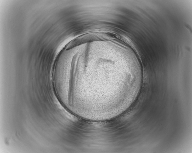 X0000102310803200808152040