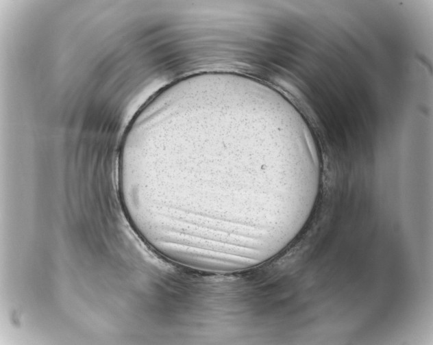 X0000102310804200808152040