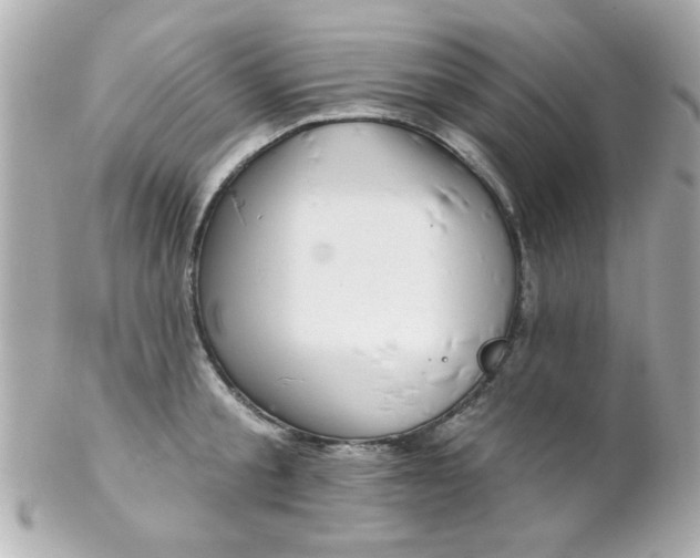 X0000102310805200808152040